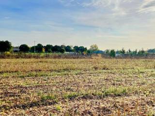 Terreno residenziale in vendita a cassola 