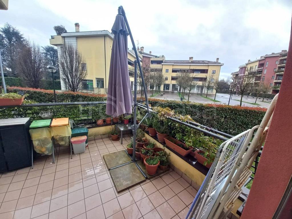 immagine annuncio 3 di 14