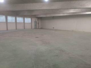 Magazzino in affitto a bussolengo 