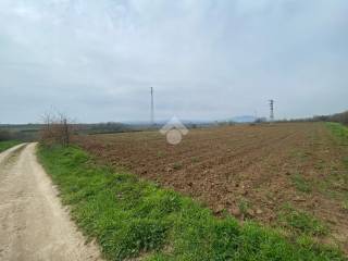 Terreno agricolo in vendita a corchiano località castiglione località castiglione