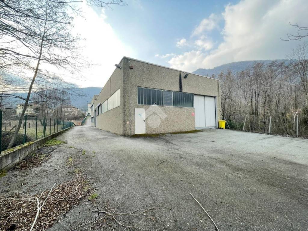 immagine annuncio 1 di 14