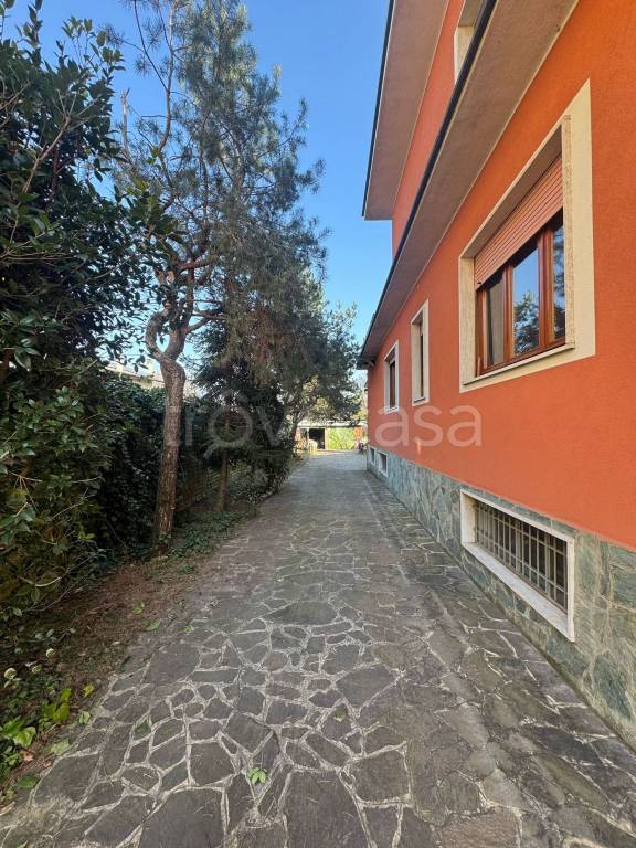 immagine annuncio 7 di 15