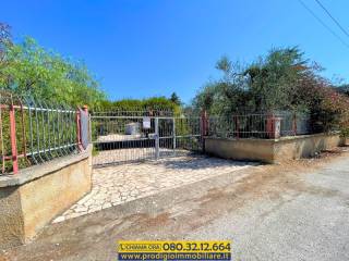 Terreno agricolo in vendita a molfetta 