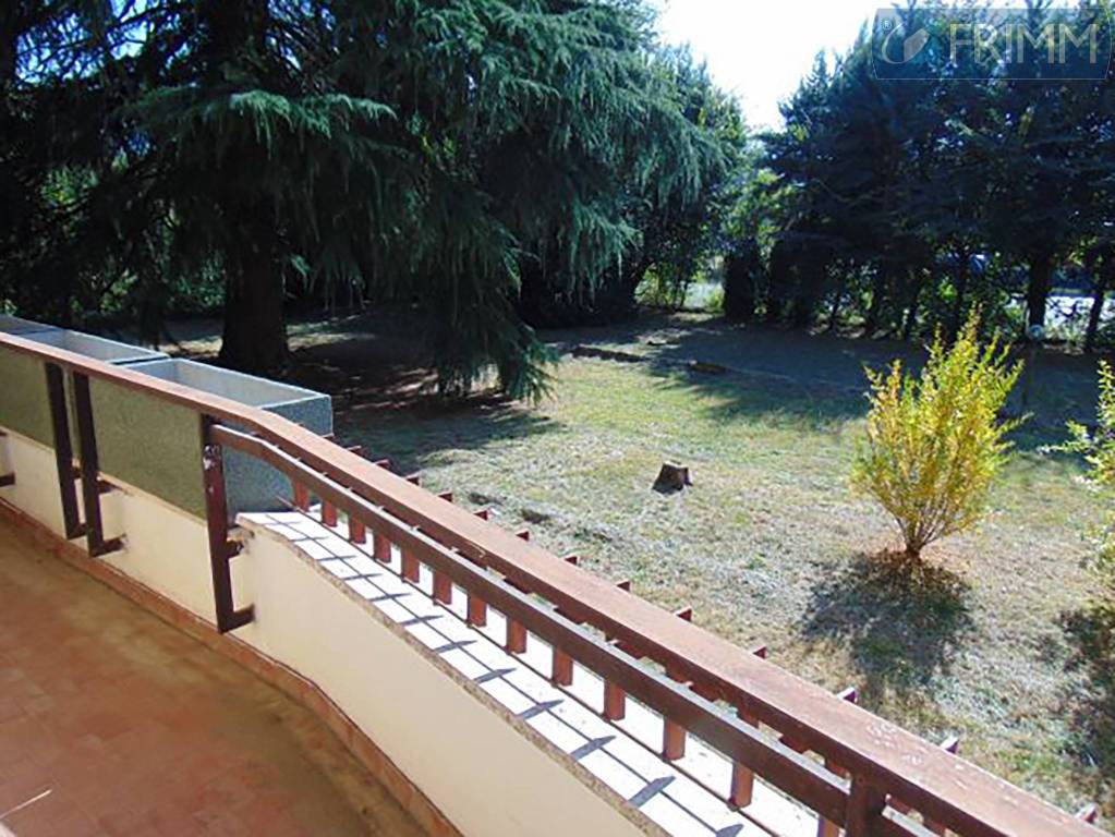 immagine annuncio 8 di 14