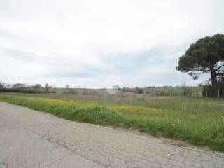 Terreno agricolo in vendita a termoli contrada colle scalera, 4