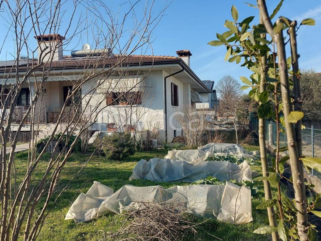 immagine annuncio 2 di 11