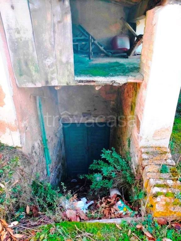 immagine annuncio 11 di 13