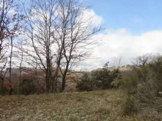 Terreno agricolo all'asta a gubbio localita' carpiano