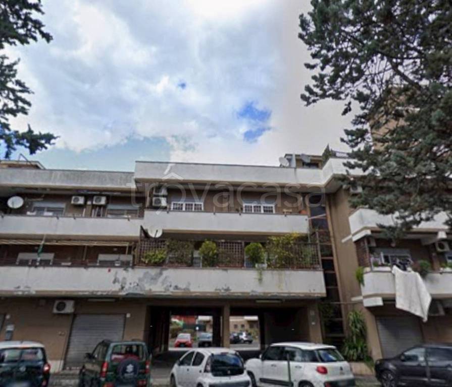 immagine annuncio 3 di 12