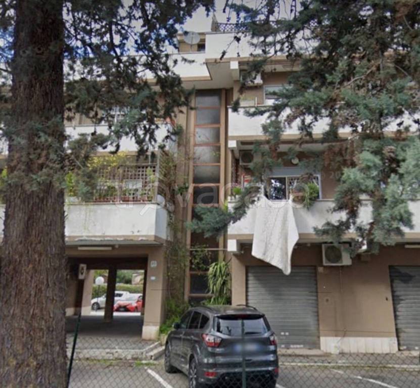 immagine annuncio 7 di 12