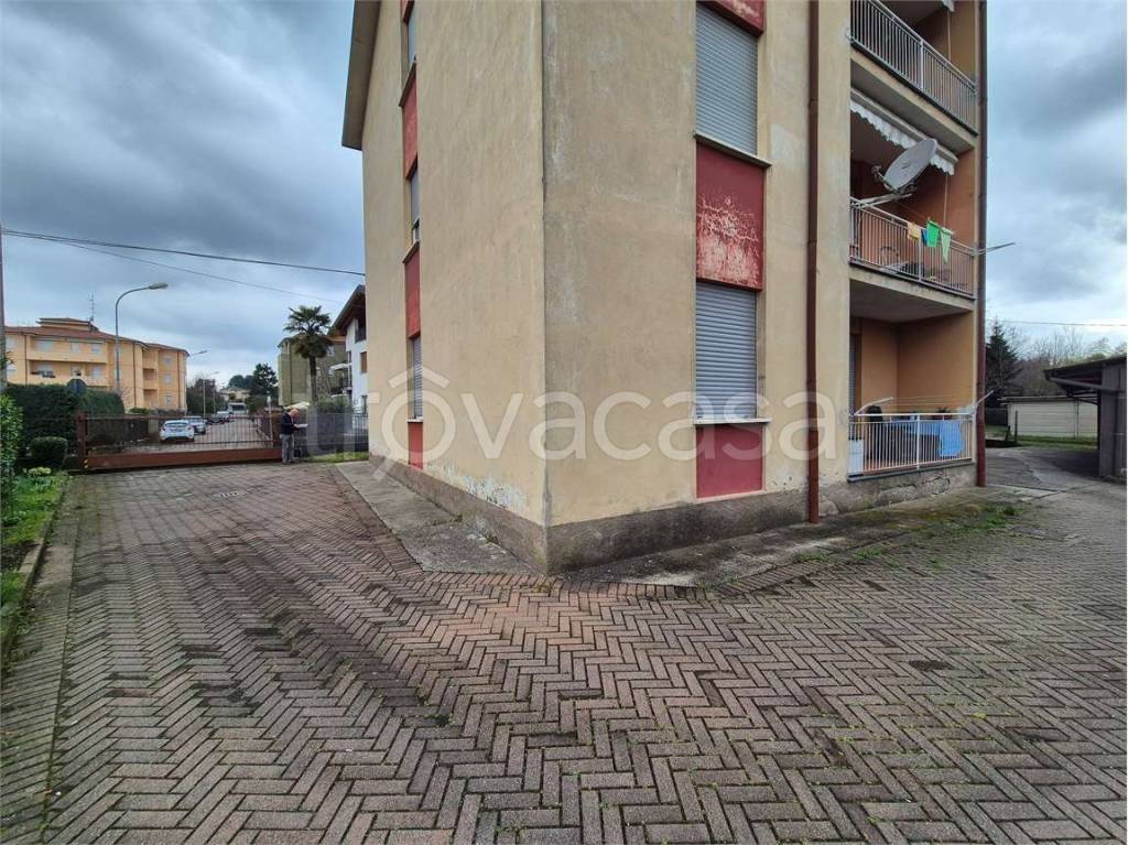 immagine annuncio 2 di 15