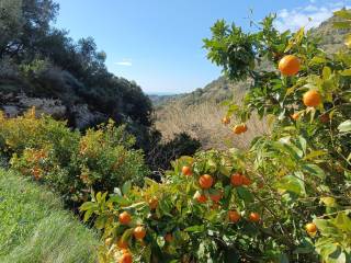 Terreno agricolo in vendita a monte argentario strada vicinale di scorreria, 24