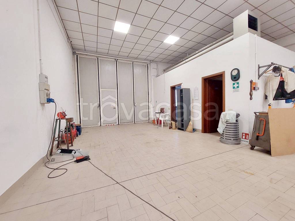 immagine annuncio 1 di 8