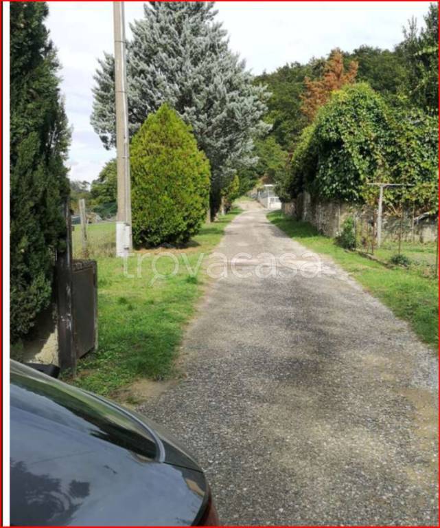 immagine annuncio 2 di 11