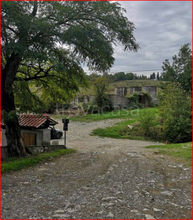 immagine annuncio 5 di 11