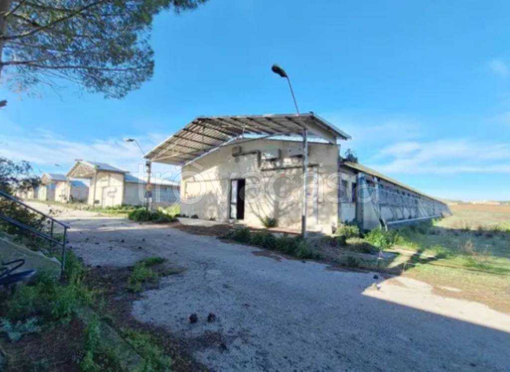 immagine annuncio 8 di 12