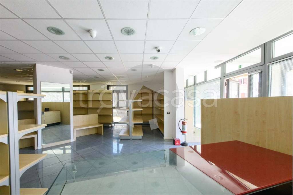 immagine annuncio 4 di 12