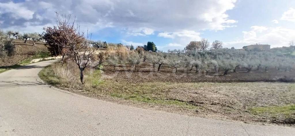 immagine annuncio 11 di 12