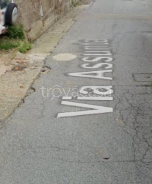 immagine annuncio 5 di 14