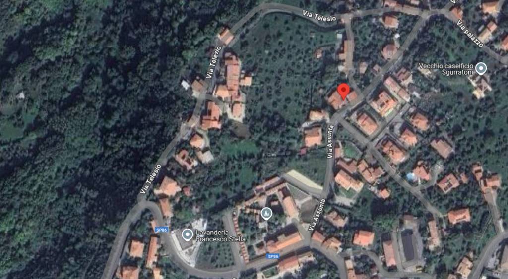 immagine annuncio 10 di 14