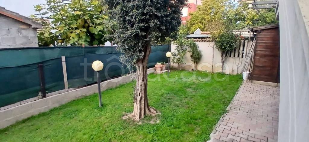 immagine annuncio 10 di 15