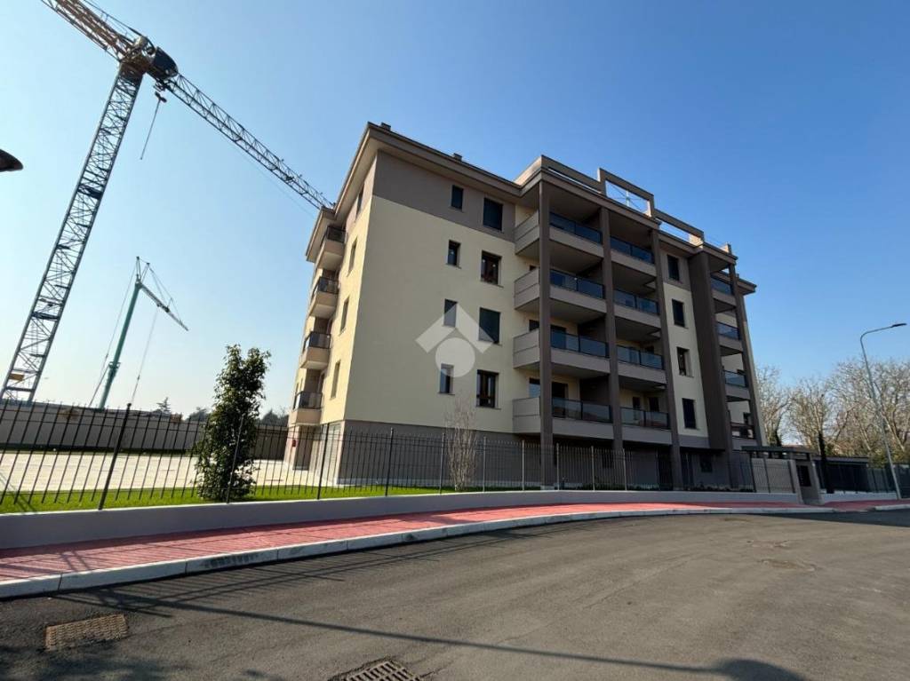 immagine annuncio 5 di 15