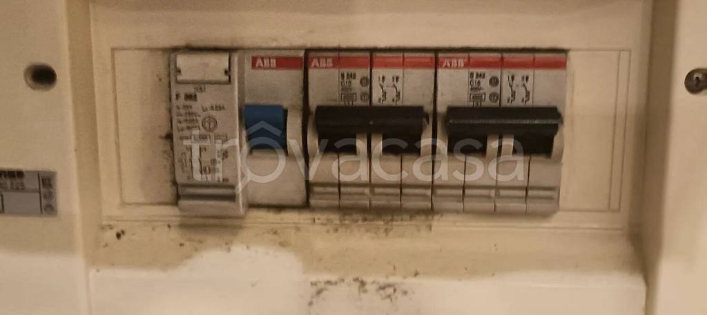 immagine annuncio 8 di 14