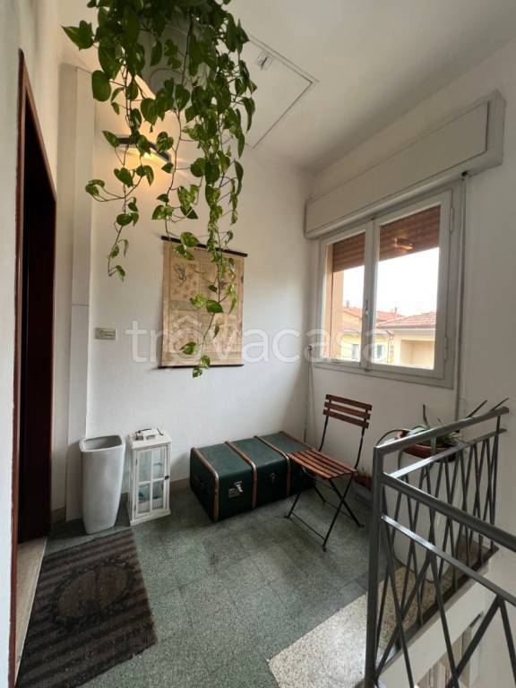 immagine annuncio 9 di 12