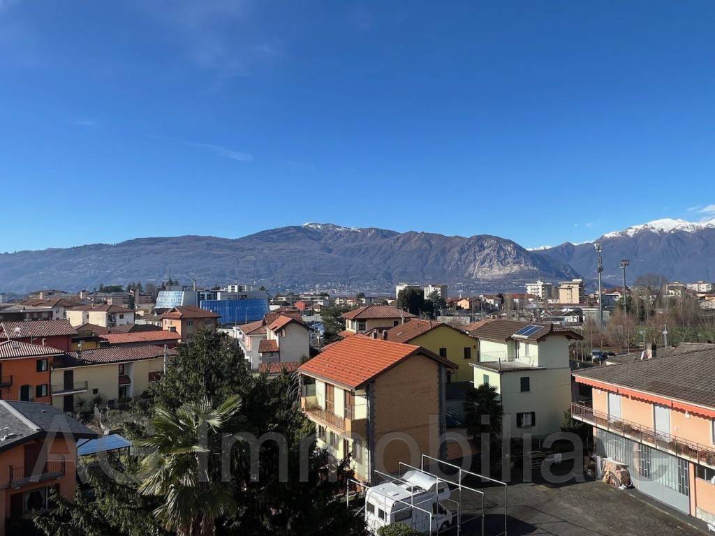 immagine annuncio 10 di 11