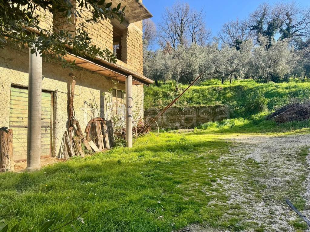 immagine annuncio 12 di 15