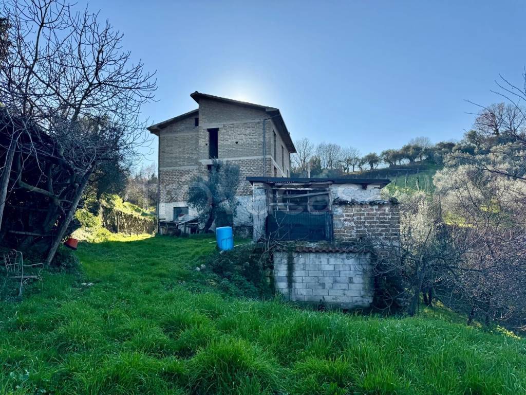 immagine annuncio 14 di 15