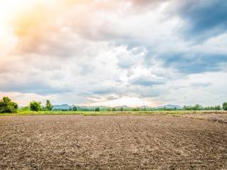 Terreno agricolo in vendita a viareggio via degli ortacci