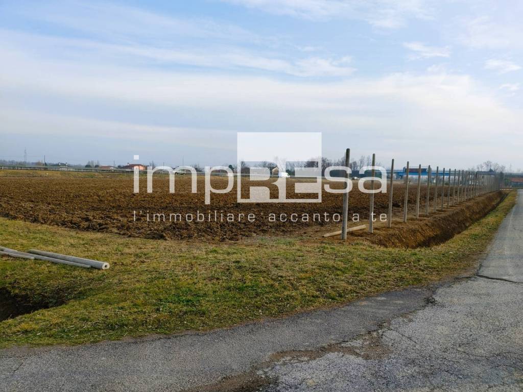 immagine annuncio 2 di 14