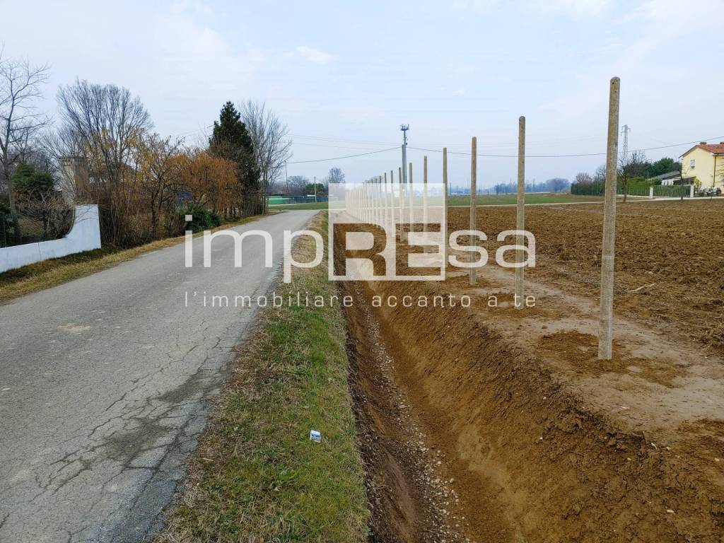 immagine annuncio 3 di 14