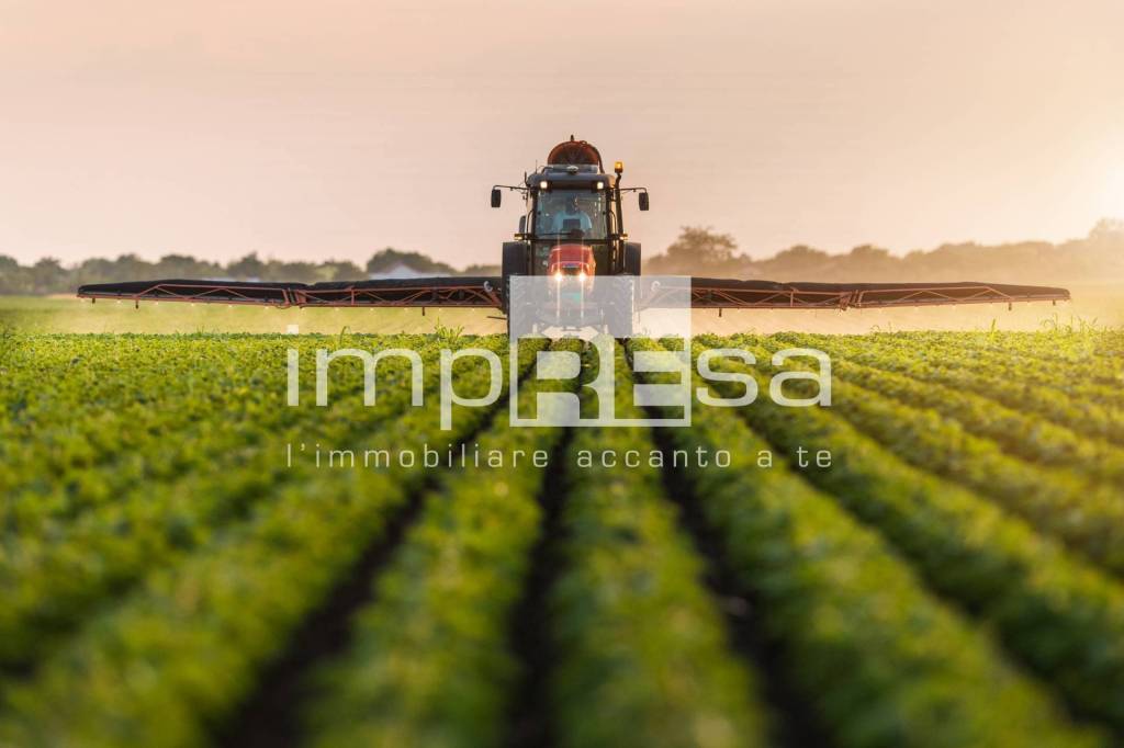 immagine annuncio 10 di 14