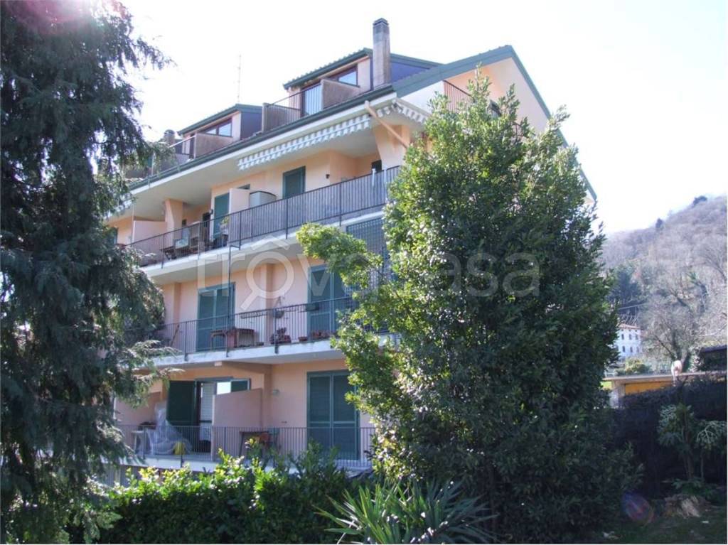 immagine annuncio 5 di 12