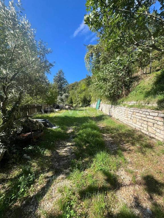 immagine annuncio 5 di 9