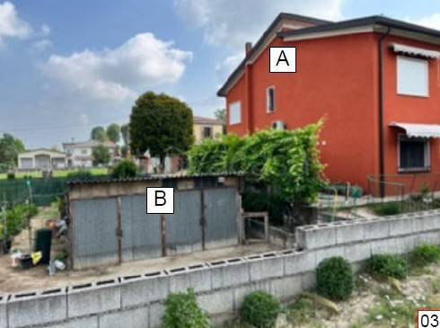immagine annuncio 2 di 12