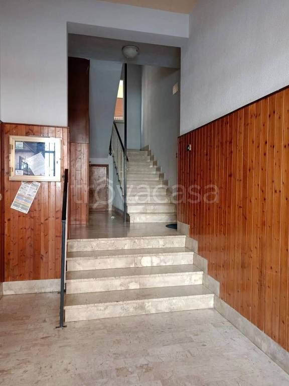 immagine annuncio 9 di 12