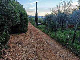 Terreno agricolo in vendita a follonica località podere martellino