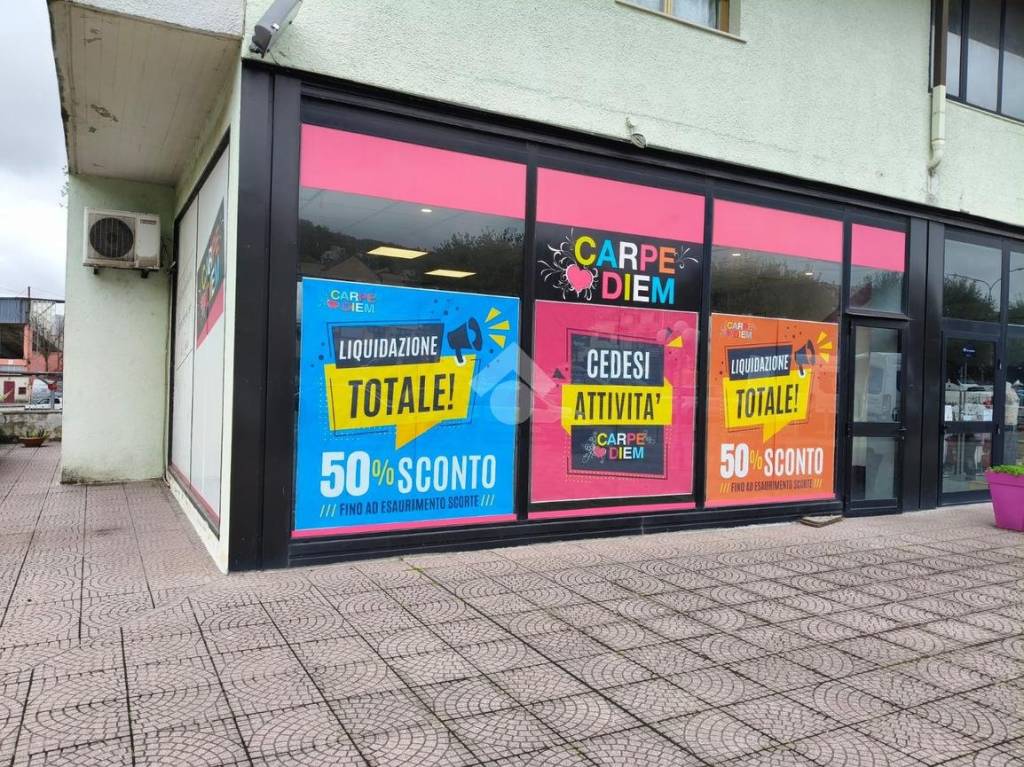 immagine annuncio 10 di 12