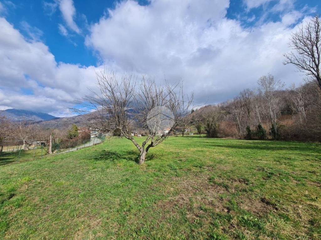 immagine annuncio 2 di 12