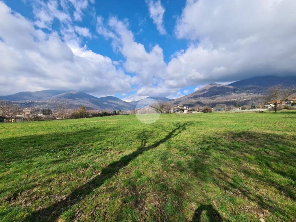 immagine annuncio 7 di 12