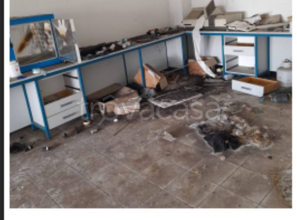 immagine annuncio 2 di 11