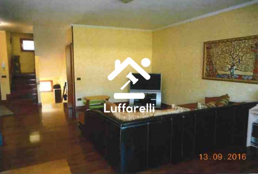 immagine annuncio 4 di 11