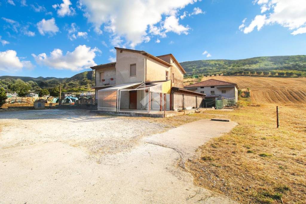 immagine annuncio 10 di 11