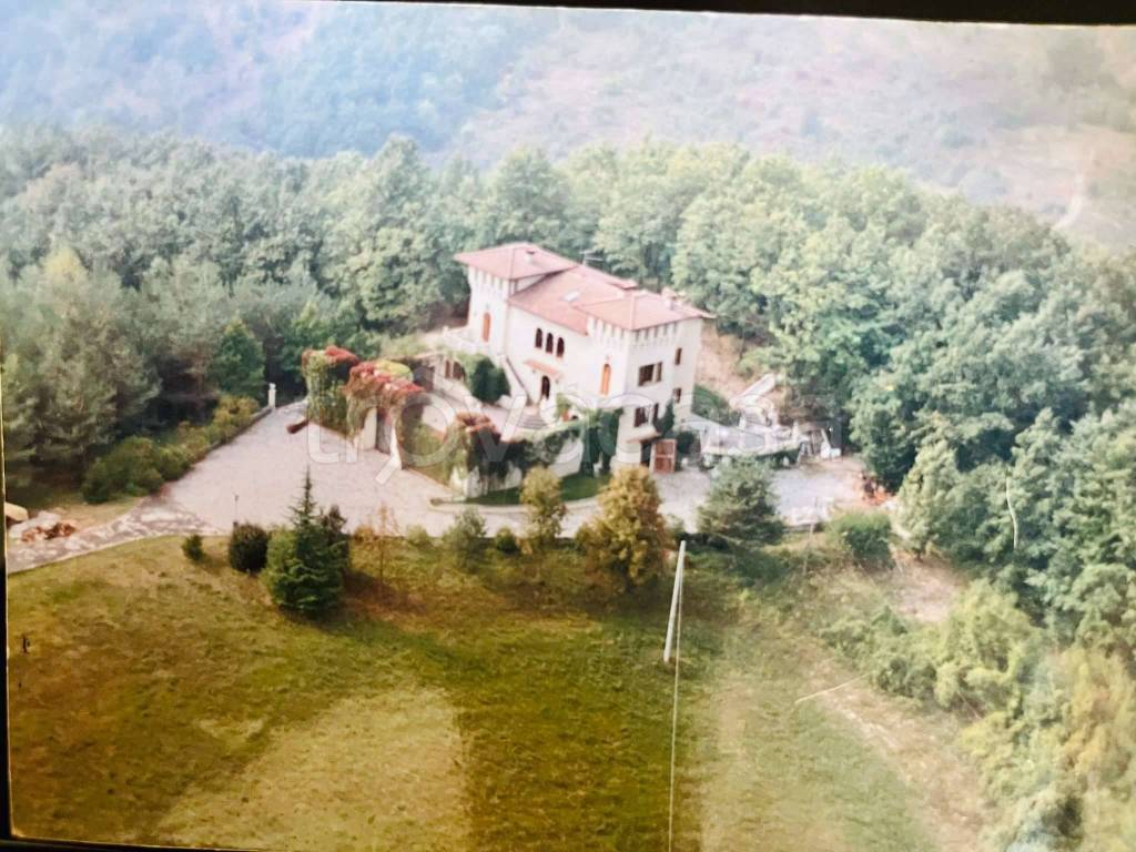 immagine annuncio 2 di 7