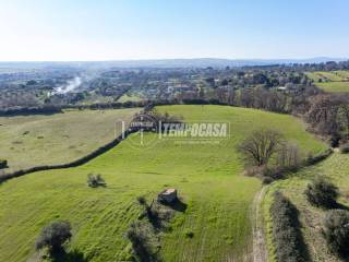 Terreno agricolo in vendita a roma via dei colli di baccanello