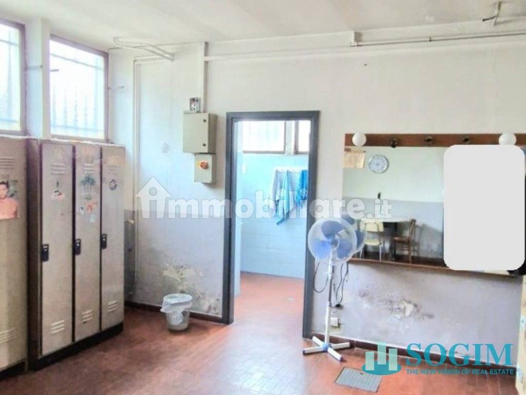 immagine annuncio 9 di 14