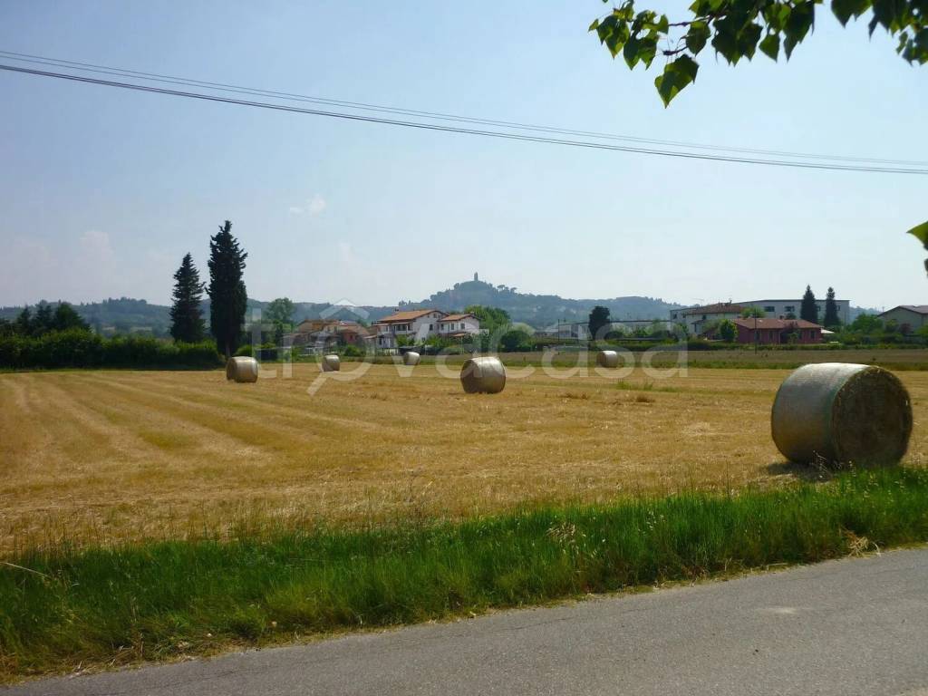 immagine annuncio 4 di 6